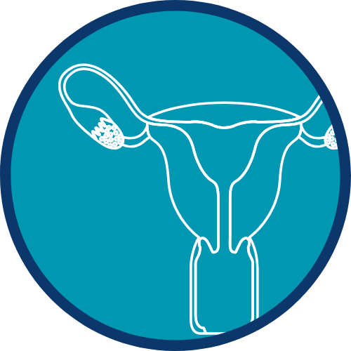 Reproductive Health Concerns | Natural Fertility NZ