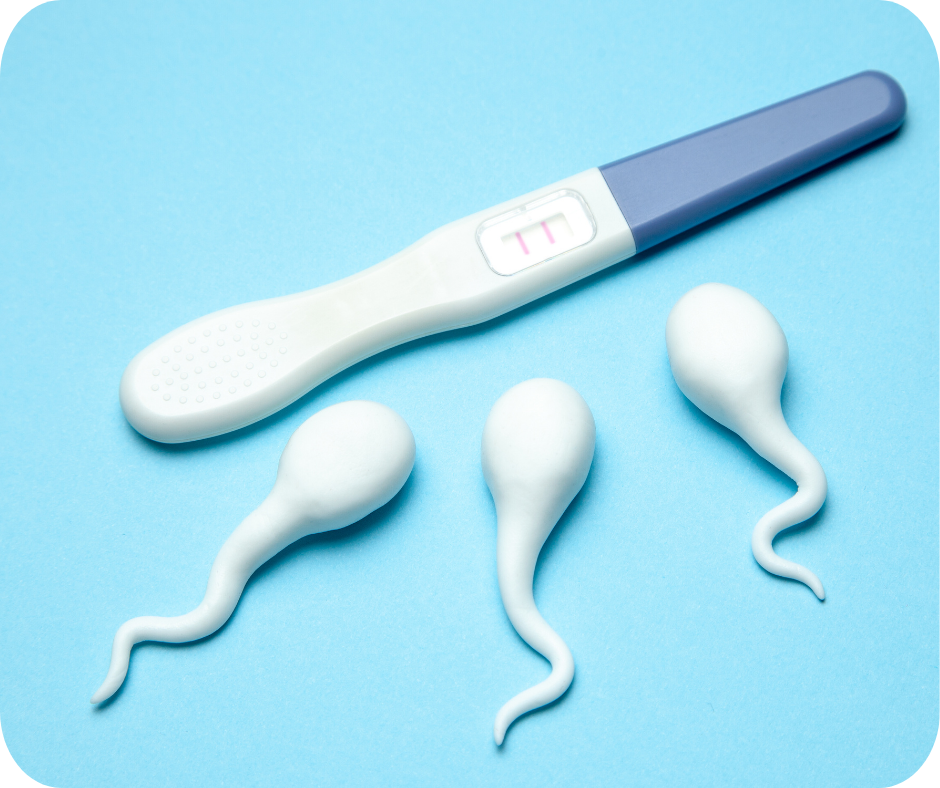 Can Fertility Awareness help me to get Pregnant?