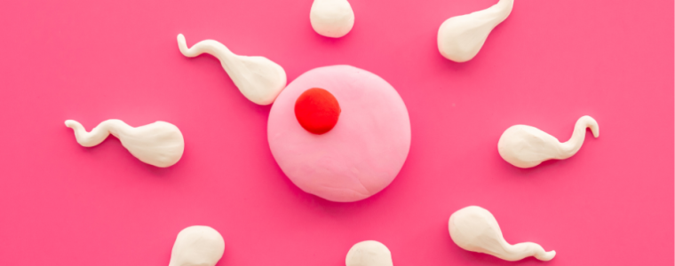 TTC Fertility Awareness